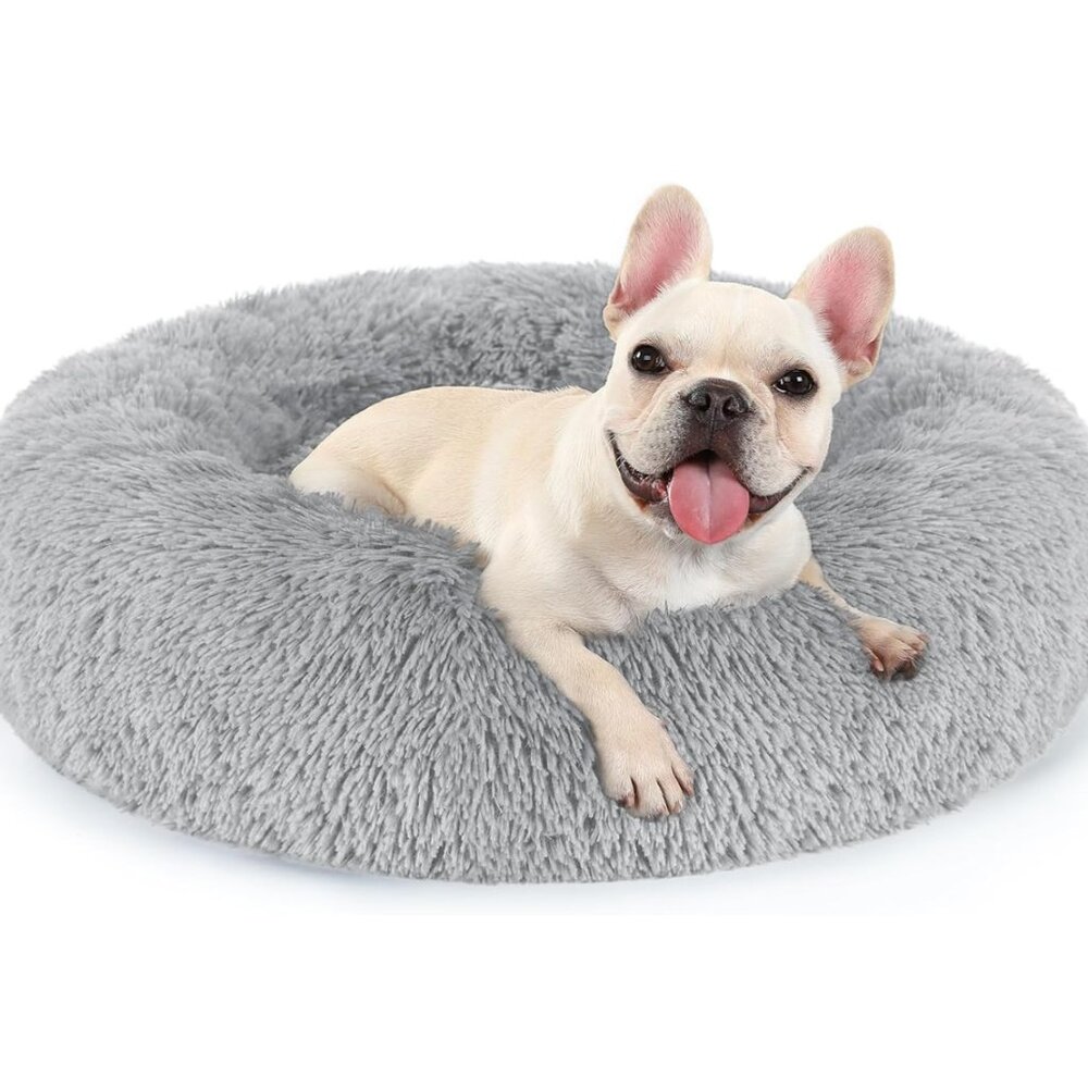Rabbitgoo Pet Bed for Indoor Cats, Dogs, Small Animals